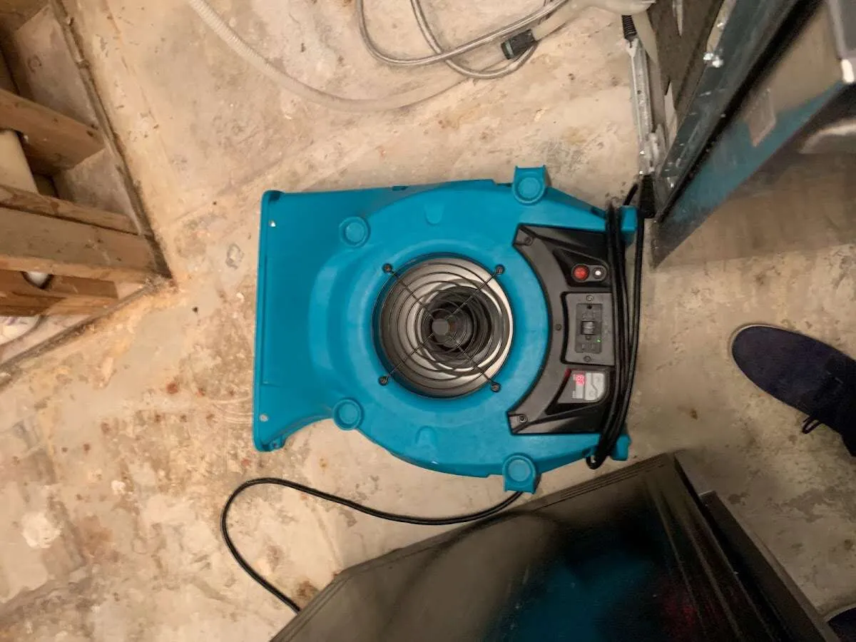 Air mover drying equipment for Mold Remediation & Removal in Asheboro